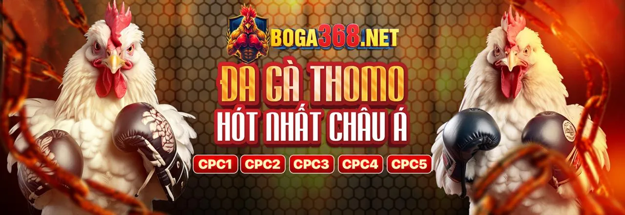 Hình ảnh Đá Gà trực tuyến hấp dẫn
